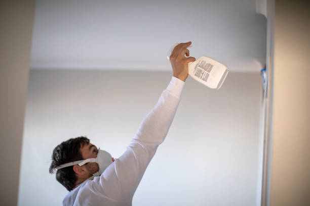 Best Toxic Mold Removal  in Ipswich, SD