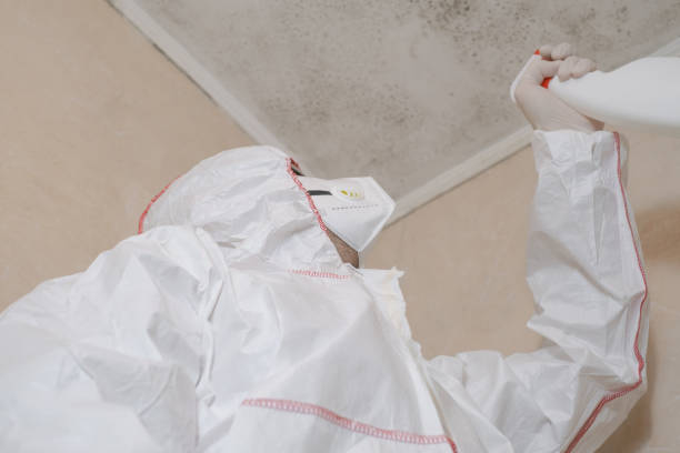 Best Residential Mold Removal  in Ipswich, SD